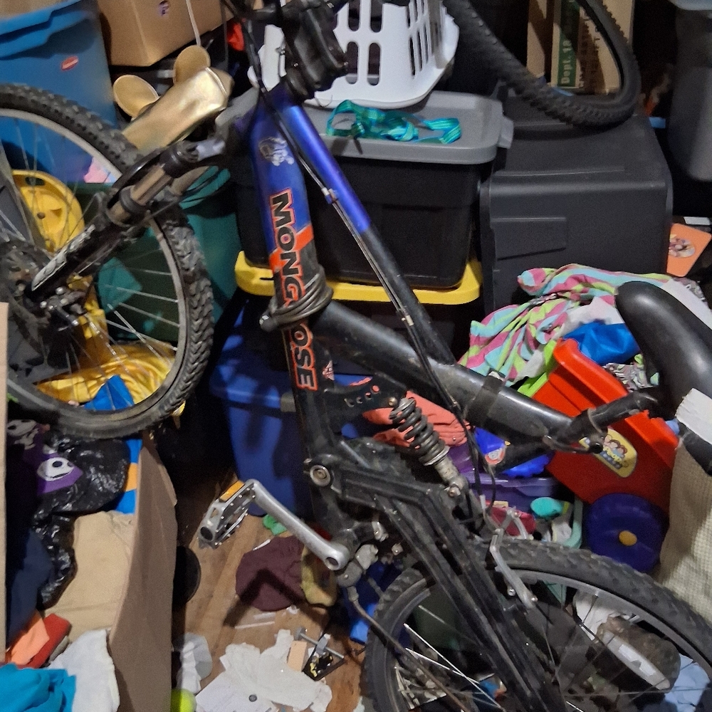 Kids Mountain Bike - Black and Blue